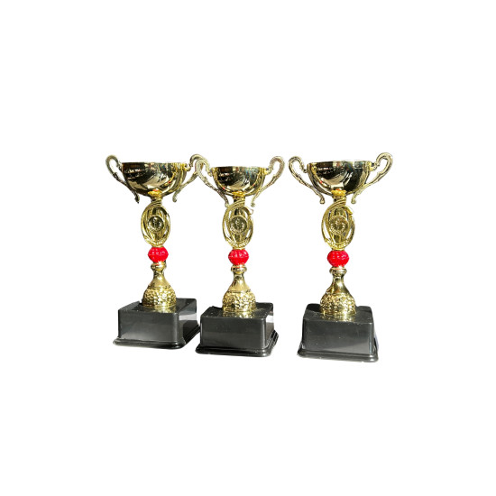 ÖDÜL KUPASI  KULPLU